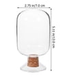 thumbnail image 4 of Miangastore Glass Match Holder Match Container Transparent Laboratory Specimen Bottle, 4 of 8