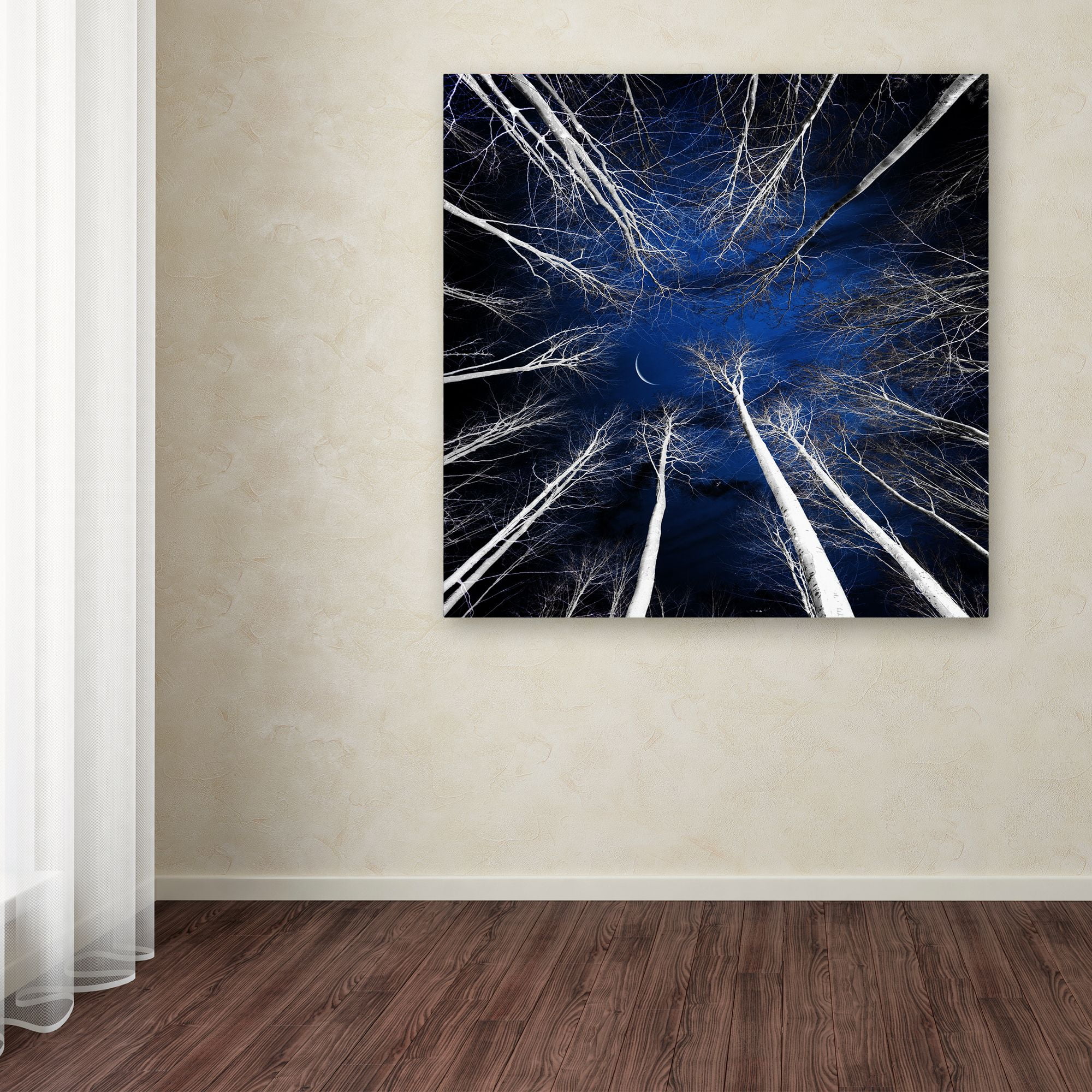 Trademark Fine Art "Renegades" Canvas Art by Philippe Sainte-Laudy