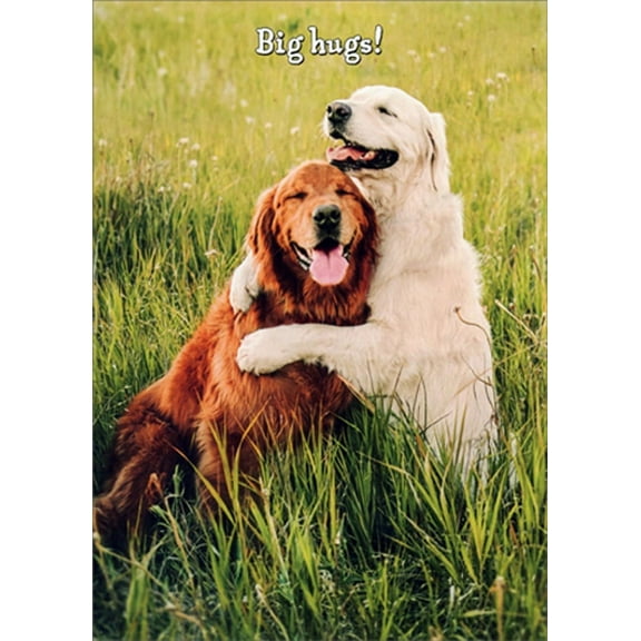 Avanti Press Golden Retrievers Hugging Cute Dogs Birthday Card