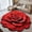 Red, variant on On Sale Clearance! Home Decor Elegant Floral Design Area Rug For Bedroom Bathroom And Living Room Decorative Clean And Stylish High End Diatomaceous Earth Material For Home DÃ©cor,Red,40X40cm