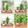 thumbnail image 4 of Moluckfu 3Ud Para Macetas En Plástico Duradero Color Para Plantas, 4 of 8