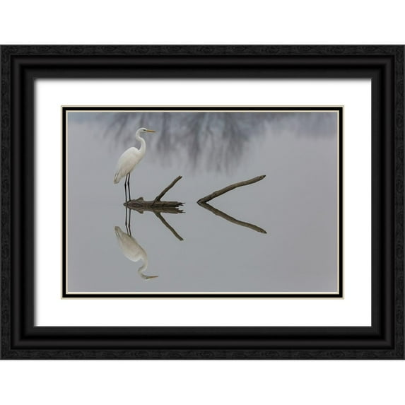 Montuori, Mauro 24x17 Black Ornate Wood Framed with Double Matting Museum Art Print Titled - Reflections