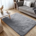 thumbnail image 4 of Buganda Area Rugs for Living Room 2'X3', Soft and Fluffy Shaggy Carpet for Pets, Machine Washable Floor Rugs for Bedroom, Light Grey, 4 of 7
