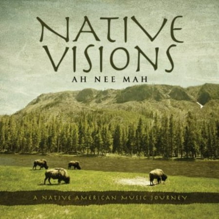 Native Visions: A Native American Music Journey (Best Native American Cds)