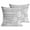 Gray, variant on Throw Pillow Covers 18x18 Inch Set of 2 Dandelion Decorative Pillows Cushion Case Soft Square Pillowcases Spring Flower Plants Wood Grain Throw Pillows for Couch Sofa Bed Chair Home Decor