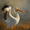 American White Pelican, variant on White Egret Canvas Print, Wall Art for Living Room, Office, Hotel, Hallway, Bathroom