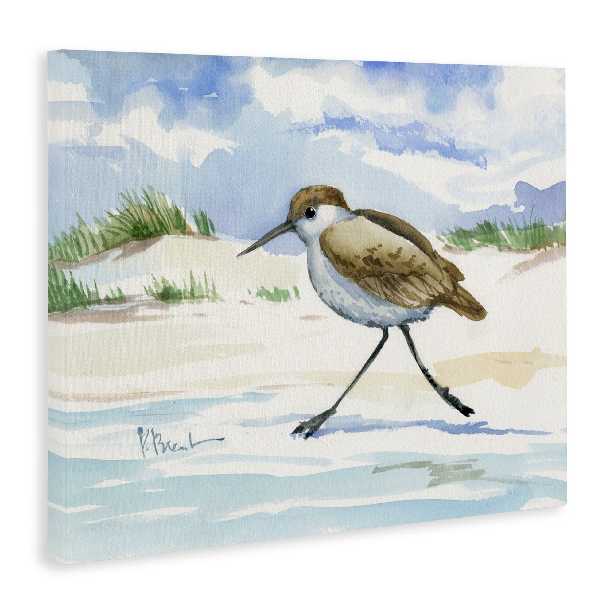 Stupell Industries Inlet Beach Sandpiper Running Canvas Wall Art, design by Paul Brent