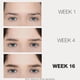 thumbnail image 5 of Sérum realzador de cejas Lashfood Browfood, suministro de 5 ml para 3 meses, 5 of 5