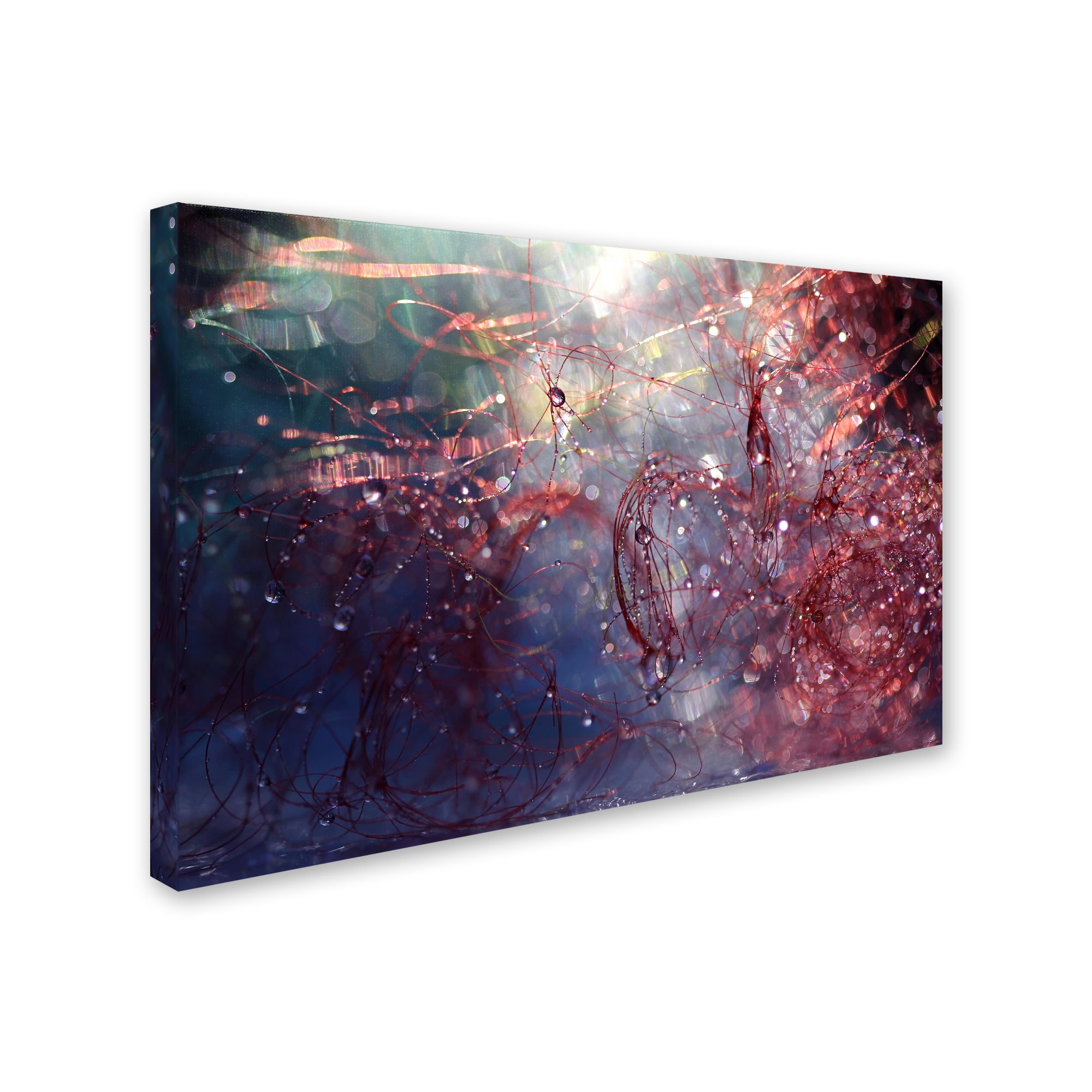 Trademark Fine Art "Adventures of Red" Canvas Art by Beata Czyzowska Young