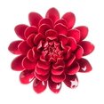thumbnail image 2 of Vivaterra Ceramic Wall Flowers - 8 Dia. Red, 2 of 4