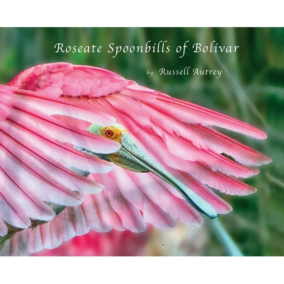 Roseate Spoonbills of Bolivar, (Hardcover)