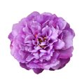 thumbnail image 2 of SPRING PARK 1Pc Silk Peony Artificial Flowers Peony Wedding Bouquet Home Party Decor, 2 of 7
