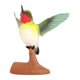 thumbnail image 4 of Figura de colibrí de simulación, estatua educativa para regalo de cumpleaños o jardín. 3241, 4 of 9