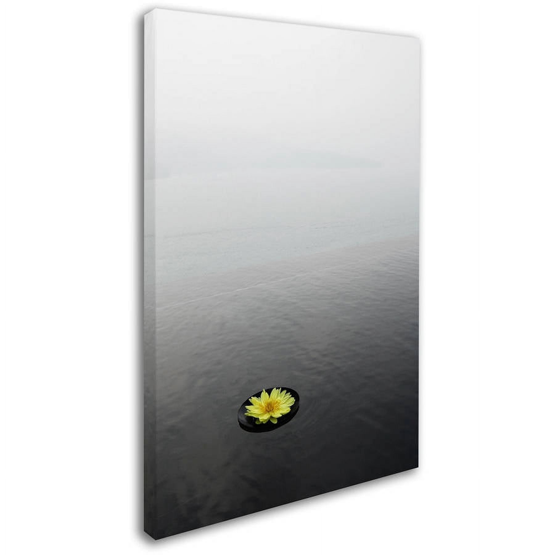 Trademark Fine Art "Zen 20x30 Reversed" Canvas Art by Kurt Shaffer