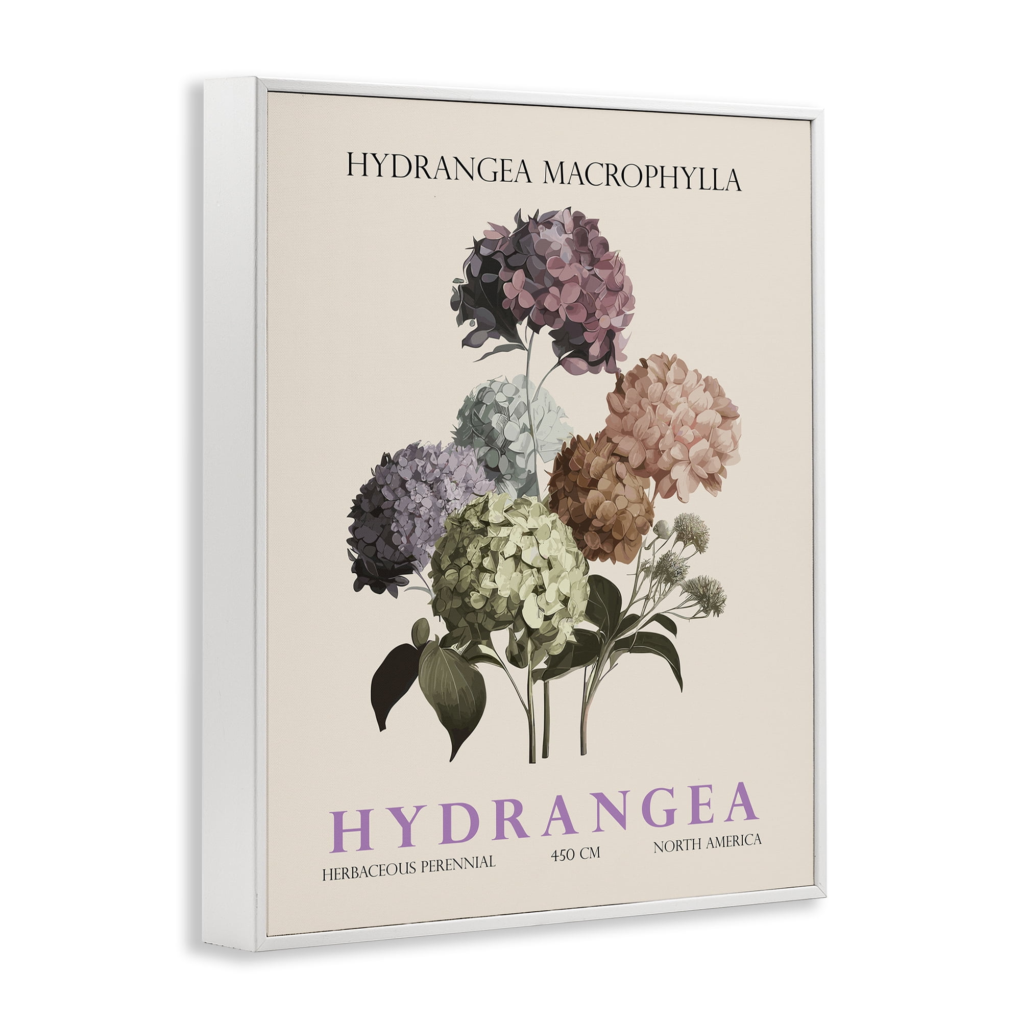 Stupell Industries Nature Hydrangea Bundle White Framed Giclee Art, design by Christopher Giampietro