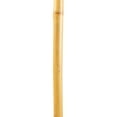 thumbnail image 4 of Brazos Free Form Bamboo Wood Walking Stick 48 Inch Height, 4 of 8