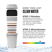 Invigorated Water PH001 Ultra Alkaline Water Filter, 96 Gallons, Multi-Stage Filtration, 1-Pack