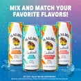 thumbnail image 6 of Malibu Pina Colada Ready to Drink Rum Cocktail, 4 Pack, 12 fl oz Cans, 7% ABV, 6 of 9