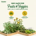 thumbnail image 4 of Greenes Fence 4' x 12' x 7-10.5" (3/4" Thick) Premium Cedar Raised Garden Bed, 4 of 8
