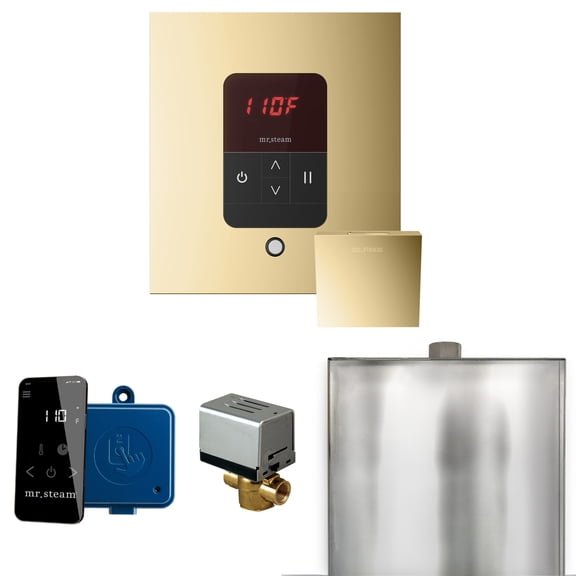 Mr Steam Basic Butler Steam Shower w/Square iTempo Control and Linear Steamhead in Polished Brass