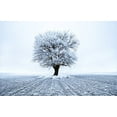 thumbnail image 2 of ABPHOTO Polyester 7x5ft White Accumulated Snow-covered Alone Tree Photography Backdrop Winter Photo Background, 2 of 3