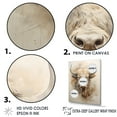 thumbnail image 3 of Designart "Great Plains Bison Bust" Animals Buffalo Picture Framed Wall Art Living Room, 3 of 5