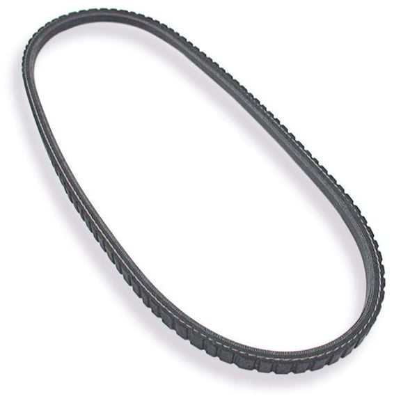 Allstar Performance V-Belt 31.5