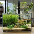 thumbnail image 4 of Vaso para pecera Vimvins de 19 litros para peces betta, peces de colores, caracoles y camarones, 4 of 7