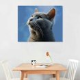 thumbnail image 2 of Orinice Russian Blue Cat Poster Canvas Print Wall Art Modern Classroom Bedroom Room Aesthetics Decoration Boys Women Gift Unframed and Framed 20''X16'' 20x16in, 2 of 6