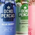 thumbnail image 2 of Pulque Enlatado 8 Pencas Curado Frutas y Semillas  Six Pack 8 Pencas Cormasani Curado, 2 of 5