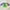 Green, variant on TAIAOJING Ballet Tulle Rainbow Tutu Skirt for Little Girls Toddler Kids Baby Dancing Princess Skirt Color Block Tulle Ballet Tutu Outfits 2-8 Years