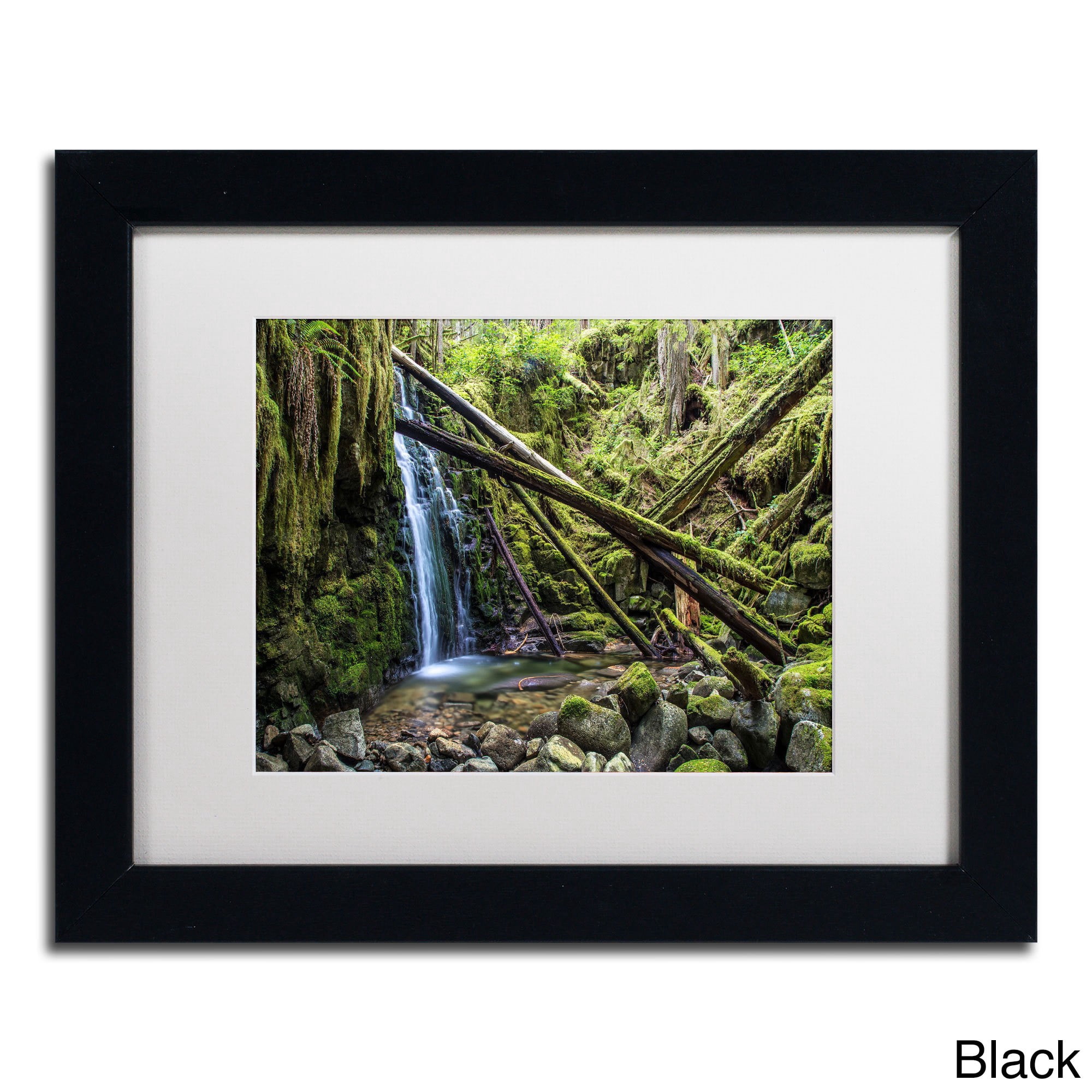 Trademark Fine Art "Wilderness" Canvas Art by Pierre Leclerc, White Matte/Wood Frame