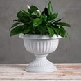 thumbnail image 4 of Novelty Grecian Urn Planter - Plastic, Drainage Holes - 18-Inch, Stone, 4 of 5