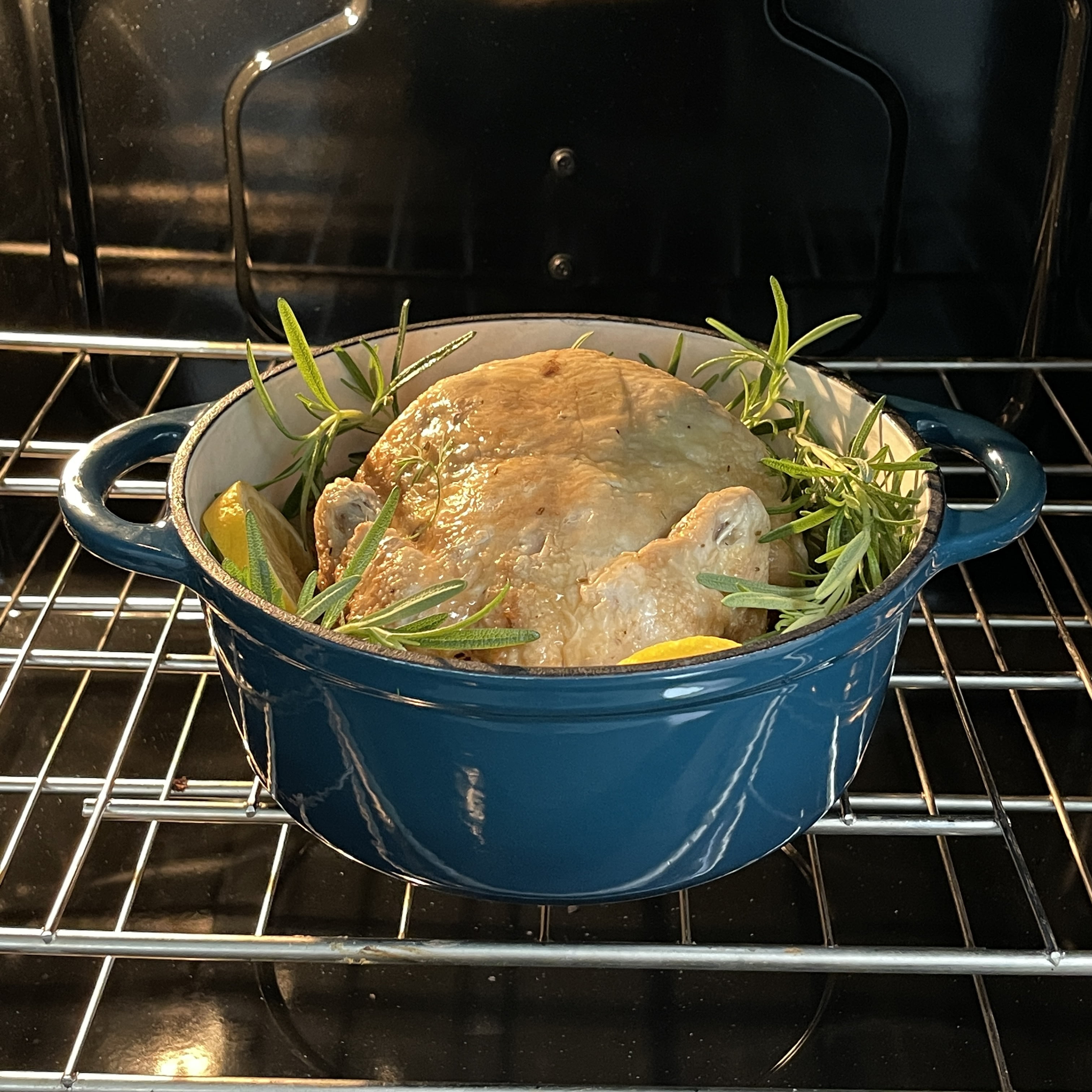 Lexi Home Cast Iron Enameled Dutch Oven Pot with Lid 2.8 qt, Sauce Pan,  Pasta Server, Stove Top Pot, Dish for Sourdough Bread, Slow Cooking  Chicken