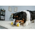 thumbnail image 6 of Hartz Chew n Clean Twisty Bone Dog Toy, Small, 1ct, 6 of 8
