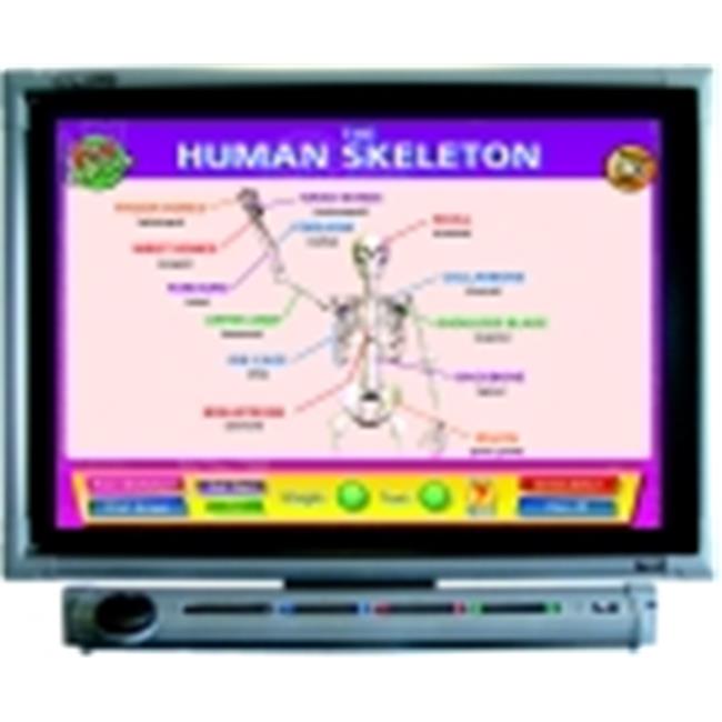Daydream Education Skeleton Muscle Joints Chart CD Set - Walmart.com