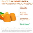 thumbnail image 2 of Qunol Zero Sugar Turmeric Gummies, Gummy with 500mg Turmeric Curcumin, Joint Support Supplement, Ultra High Absorption Tumeric Curcumin, Vegetarian, Gluten Free, 90 Count, 2 of 9