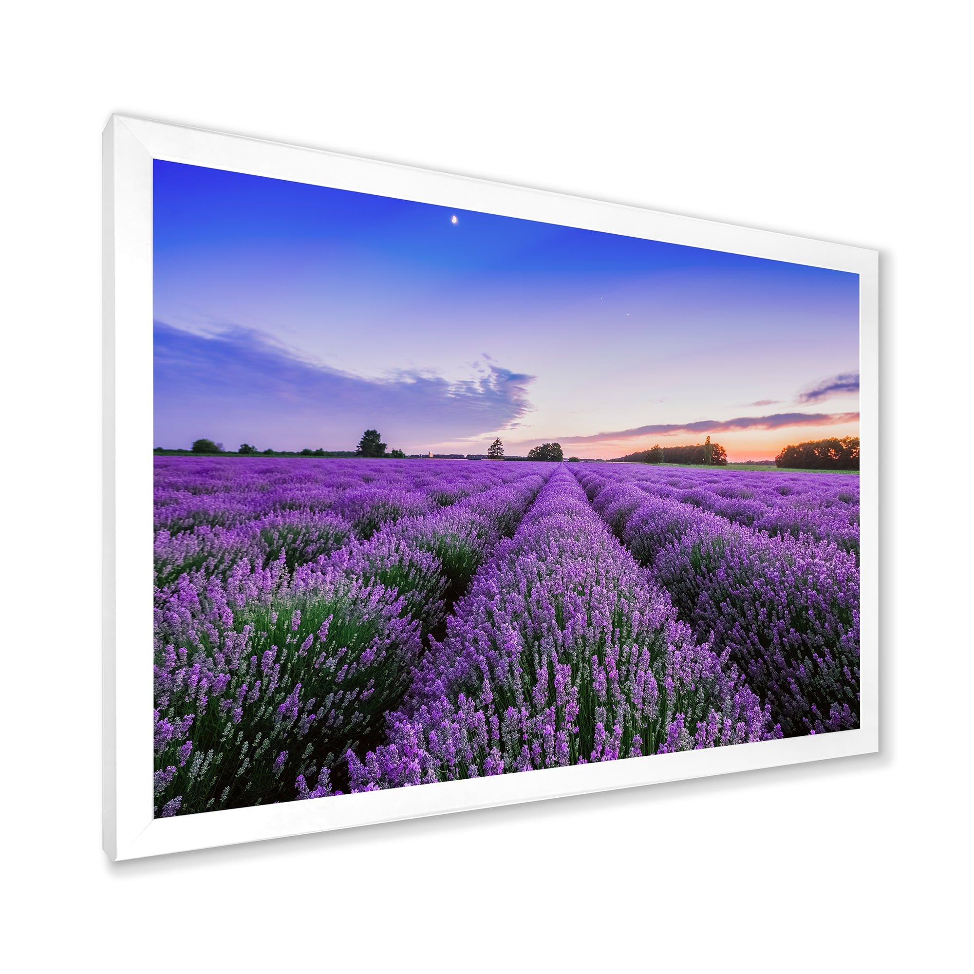 Designart 'Dramatic Clouds and Sunrise Over Lavender Field II' Farmhouse Framed Art Print
