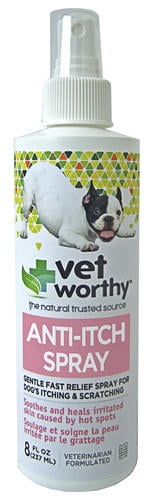 anti itch for dogs walmart