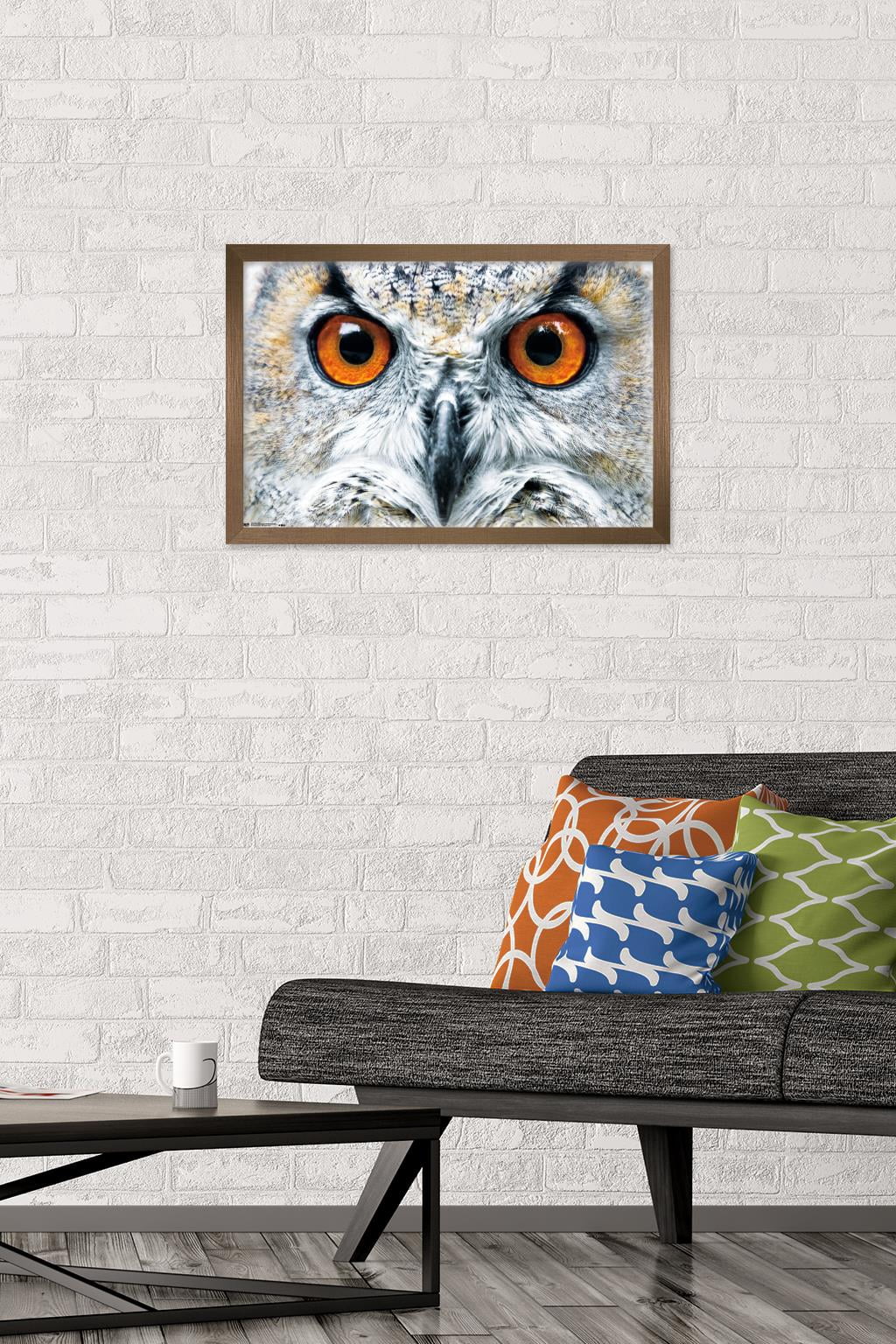 Owl - Close Wall Poster, 14.725" x 22.375", Framed