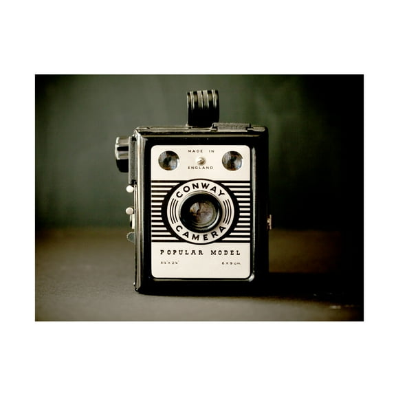 Symposium Design 'Box Camera' Canvas Art