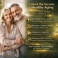 thumbnail image 4 of DEZEN NAD+ Supplement – Liposomal Nicotinamide Riboside for Cellular Energy Support & Healthy Aging - Pack 3, 4 of 11