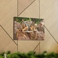 thumbnail image 6 of Wallaby Couple Wallaby Couple Print Animal Wall Art Wildlife Canvas Prints Wall Art Ready to Hang Unframed, 6 of 18