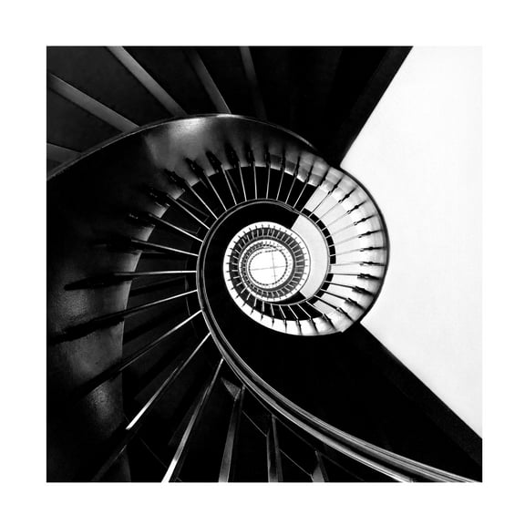 Trademark Fine Art Wilma Wijers Smeets Upside Downside Canvas Wall Art