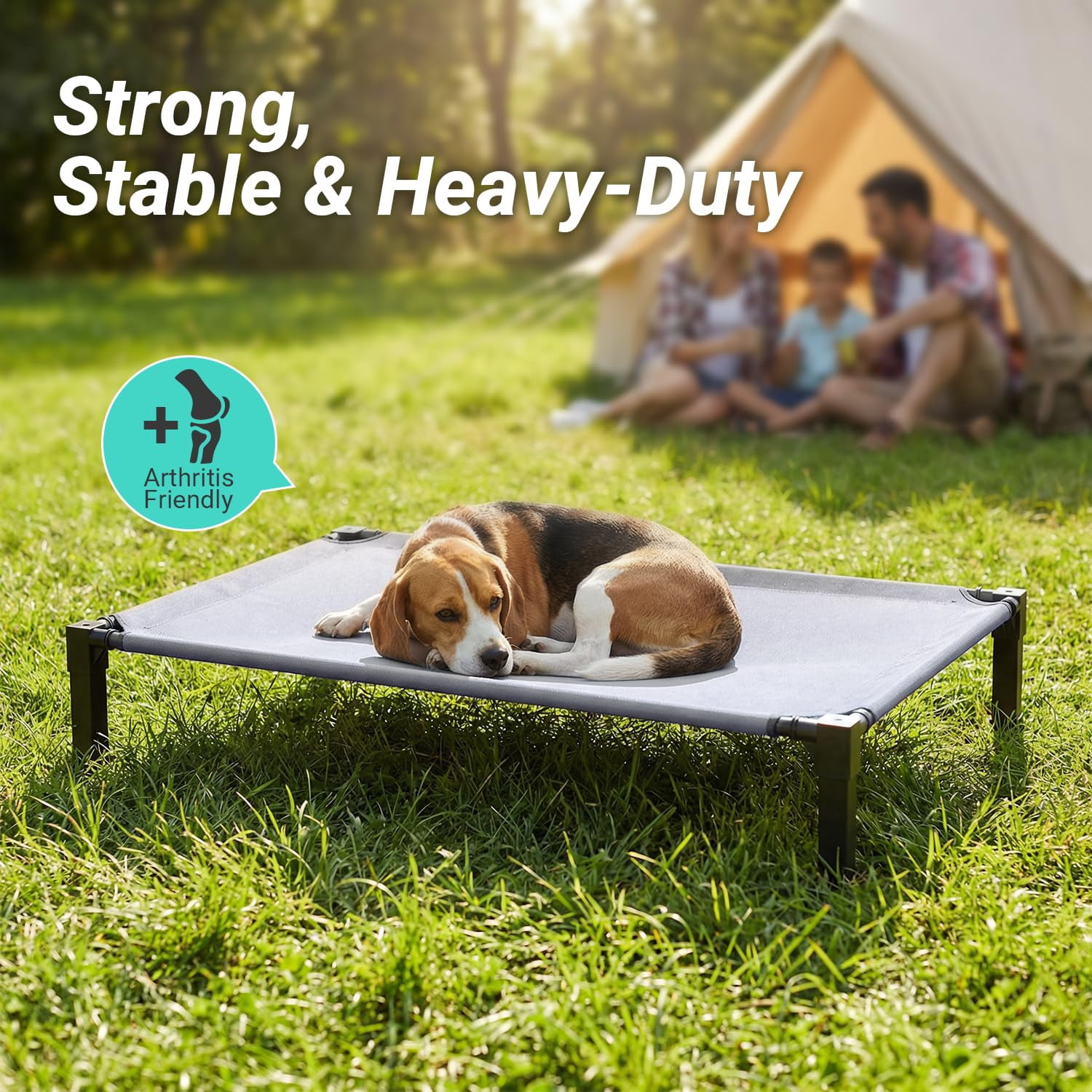 Elevated Outdoor Dog Bed  Pet Steel-framed And Non-slip Feet Raised With Waterproof Washable Breathable Teslin Mesh 42in