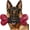 1 PC-Bacon-Black, variant on Tough Dog Toys for Aggressive Chewers: Beef Flavored Long Lasting Dog Bones for Large Dogs, Indestructible Dog Chew Toys to Keep Them Busy, Large Dog Toys for Medium & Large Breed, Red