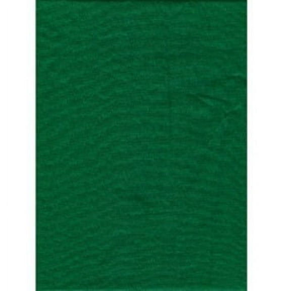Solid Studio Backdrop 10' x 12' Chromakey Green