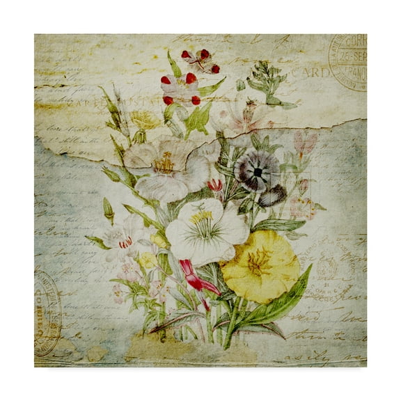 Trademark Fine Art 'Flower Print Grunge 3' Canvas Art by Marcee Duggar