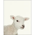 thumbnail image 2 of Baby Farm Lamb - Nursery Wall Décor Farm Baby Animal Art Print, 2 of 2