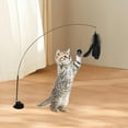 thumbnail image 1 of Juguete Interactivo para Gatos Yinane Avance del gato, 1 of 8